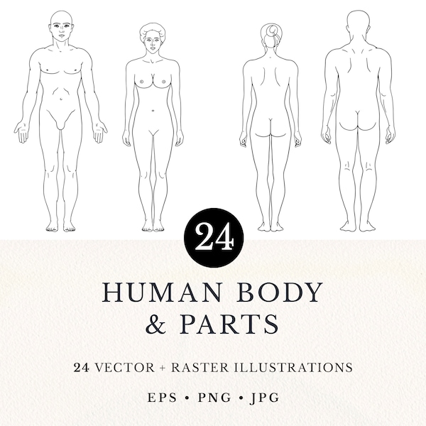 Human Body & Parts Line Art Illustration Set, 24 Vector Clip Arts, Digital Download, Commercial License