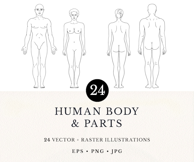 Human Body & Parts Line Art Illustration Set, 24 Vector Clip Arts, Digital Download, Commercial License image 1