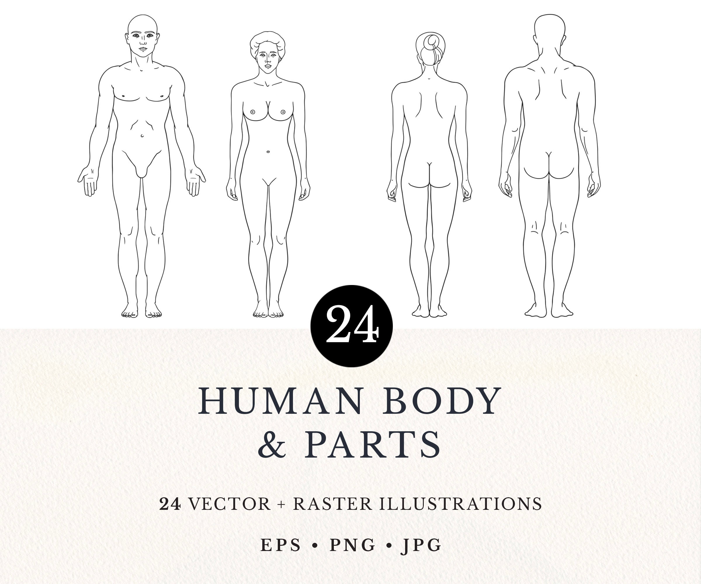 Body