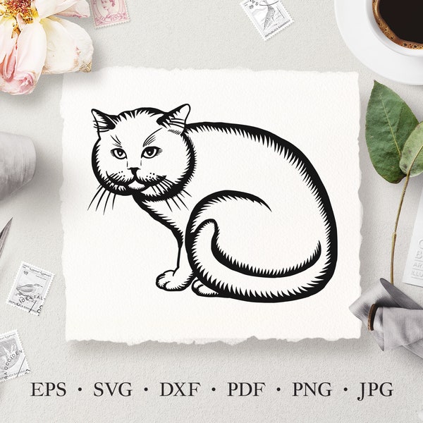 Сat SVG, British Shorthair Cat Vector Illustration, Pussy Line Art Laser Cut Files, Commercial License