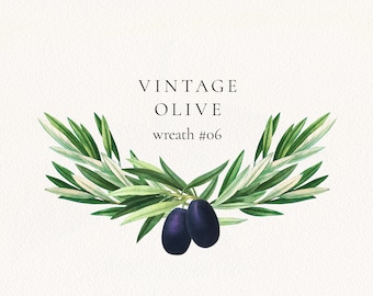 Olive Branches Garland #06 PNG, Olive Leaves and Fruits Wedding Invitation Clip Art, Commercial License