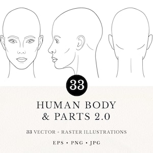 Conjunto de ilustraciones de arte lineal del cuerpo humano y sus partes 2.0, 33 imágenes prediseñadas vectoriales, descarga digital, licencia comercial