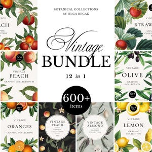 以下が含まれることがあります： Olga BegakによるVintage Bundle 12 in 1と題された600点以上のアイテムを含むデジタルグラフィックコレクション。桃、苺、林檎、オリーブ、オレンジ、アーモンド、レモン、桜桃の植物画とテキストが配置されたデザイン。