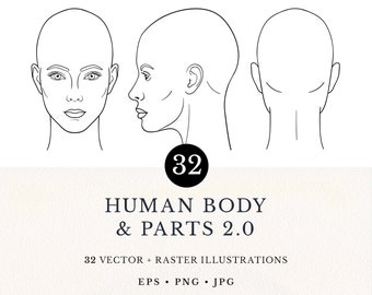 Human Body & Parts Line Art Illustration Set 2.0, 32 Vector Clip Arts, Digital Download, Commercial License