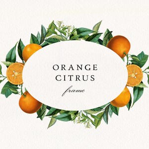 Orange Zitrus Oval Rahmen #05 PNG, Citrus Fruits Greenery Digital Kranz, Florida Oranges Hochzeit Einladung Clipart, kommerzielle Lizenz