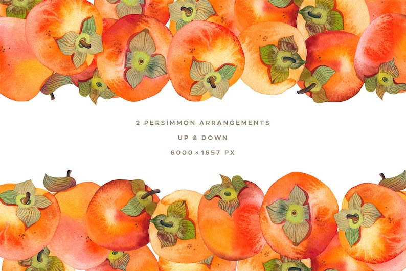 Persimmon Watercolor Clipart, Fruit Watercolor Painting, Handmade Botanical Clip Art, Persimmon Seamless Pattern, Fruit Arrangement image 5
