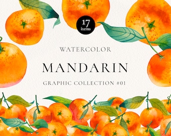 Orange Citrus Watercolor Clipart: Mandarin Fruit Graphics (Digital Paper)
