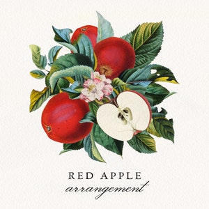 Arrangement de fruits de pomme rouge PNG, invitation de mariage vintage aux fruits de pomme, clip art botanique d’été, licence commerciale