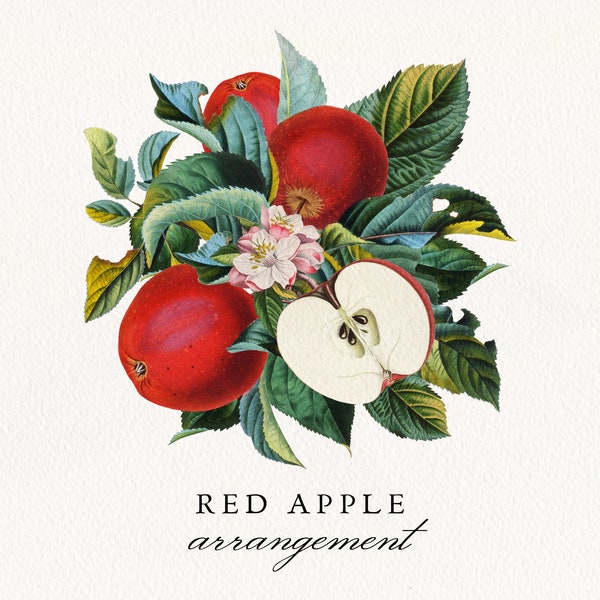Red Apple Fruit Arrangement PNG, Vintage Apple Fruits Wedding Invitation, Summer Botanical Clip Art, Commercial License