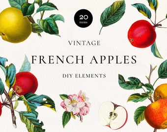 French Apple Fruits Clipart, Vintage Apples, Blossom, Leaves Elements, Summer Apple Fruits Digital Botanical Clip Art