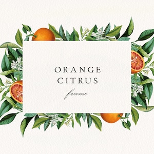Marco de cítricos de naranja #03 PNG, grosería de cítricos corona digital, florida naranjas invitación de boda clipart, licencia comercial
