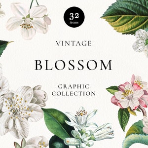 White Blossom Clipart, Vintage White Flowers, Spring Greenery Clip Art, Floral Elements PNG, Antique Botanical Clipart, Digital Download
