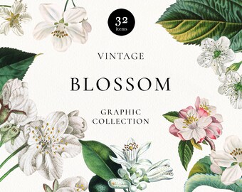 Vintage Blossom Clipart: Antique Botanical Floral PNG (Digital Download)