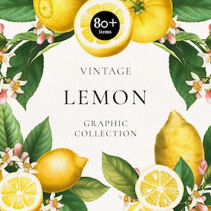 Clipart citron citron rétro : modèle sans couture de fruits citron, couronnes de citron, Arrangement d’agrumes, verdure cadre Clip Art