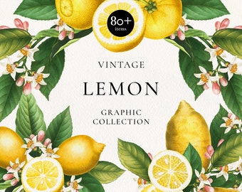 Retro Lemon Citrus Clipart: Lemon Fruit Seamless Pattern, Lemon Wreaths, Citrus Fruits Arrangement, Greenery Frame Clip Art