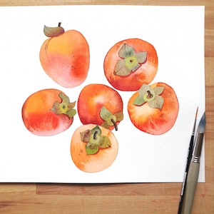 Persimmon Watercolor Clipart, Fruit Watercolor Painting, Handmade Botanical Clip Art, Persimmon Seamless Pattern, Fruit Arrangement image 10