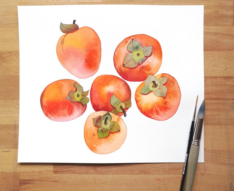 Persimmon Watercolor Clipart, Fruit Watercolor Painting, Handmade Botanical Clip Art, Persimmon Seamless Pattern, Fruit Arrangement image 10