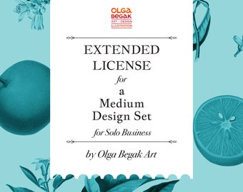 Extended License For A Medium Design Set, Commercial Use No Credit Required