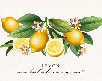 Antique Lemon Blossom Border PNG: Citrus Wedding Invitation (Commercial License)