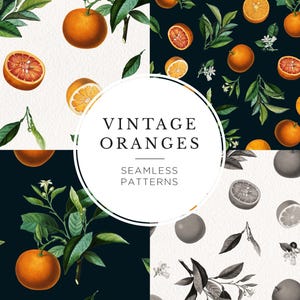 Sömlösa mönster med vintageapelsiner — Digitalt papperspaket med botaniska citrusfrukter för scrapbooking och design