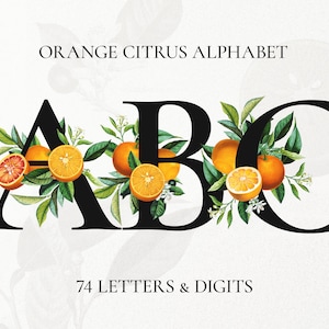 Orange Citrus Monogram Font, Floral Monogram Alphabet Clipart, Orange Fruits Letters and Numbers, Botanical Florida Wedding Font