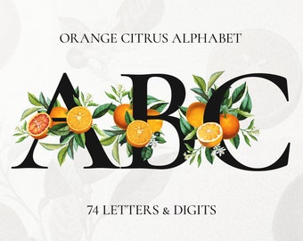 Orange Citrus Monogram Font, Floral Monogram Alphabet Clipart, Orange Fruits Letters and Numbers, Botanical Florida Wedding Font