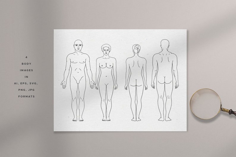 Human Body & Parts Line Art Illustration Set, 24 Vector Clip Arts, Digital Download, Commercial License image 2