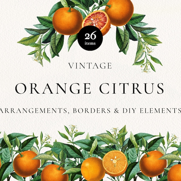 Orange Citrus Fruit Arrangements PNG Clipart, Vintage Botanical Bouquets, Orange Citrus Elements, Digital Greenery Wedding Invitations