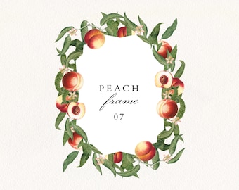 Peach Digital Frame #07 PNG, Vintage Peach Fruit and Leaves Decor, Retro Botanical Wedding Invitation Clip Art, Commercial Use