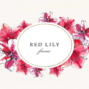 Red Lily Watercolor Oval Frame #02 PNG, Floral Wreath Wedding Invitation, Digital Download Botanical Clip Art, Commercial License