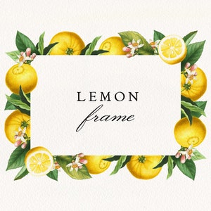 Cadre Citron Agrume #3 PNG, vintage Citron Fruit Fleur Verdure Invitation mariage Clip Art, Citron Douche Nuptiale, Licence Commerciale