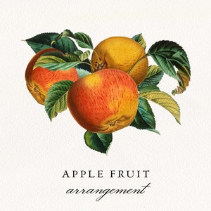Fruits de pomme avec feuilles PNG, arrangement botanique vintage, clip art d’invitation de mariage, licence commerciale