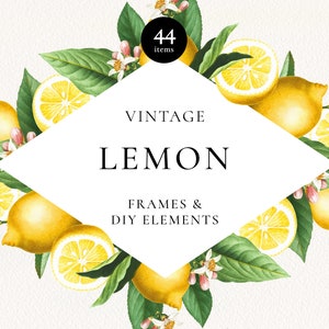 Retro Lemon Citrus Frame Botanical Clipart, Fruit Arrangement, Citrus Fruit Elements, Lemon Citrus Wedding Invitation, Citrus Fruit Graphic