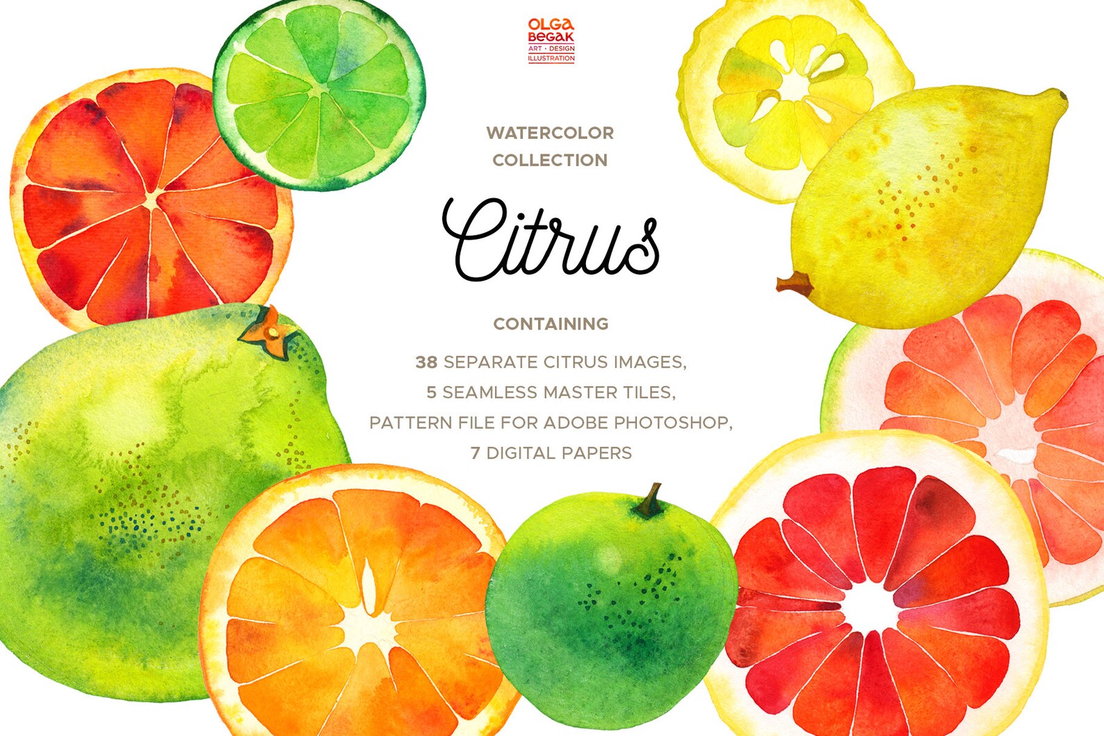 Watercolor Citrus Fruit Botanical Clipart Orange Lemon Etsy