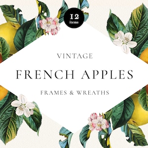 Apple Frames PNG, Apple Fruit Greenery Blossom Wreath Clip Art, convites de casamento botânico vintage, design de logotipo DIY