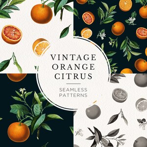 Orange Citrus Digital Paper Pack, Botanical Seamless Pattern Clip Art, Digital Download Floral Wallpapers