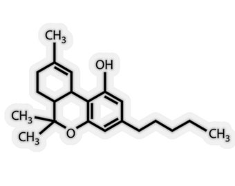 THC Cannabis Marijuana Molecule Design Diagram Sticker - Digital File