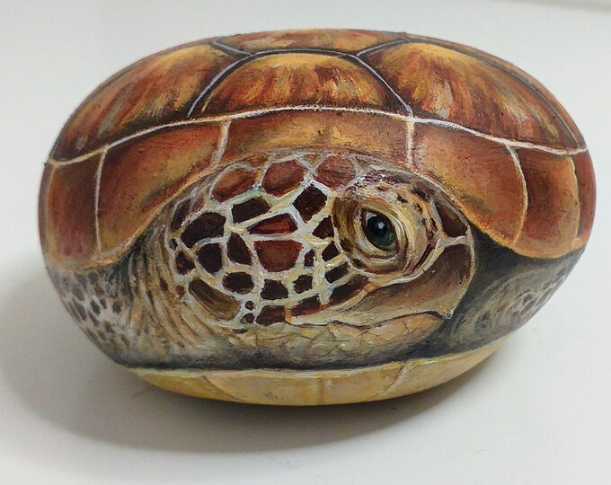 Sea Turtle Painted on Stone Turtle Painted on Rock Etsy
