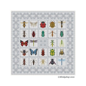 Bugs/Insects Scientific Latin name + french Alphabet Cross Stitch Pattern