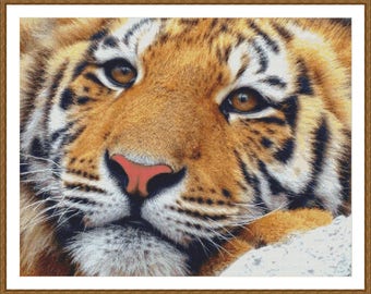 Realistic tiger cub cross stitch pattern download /053