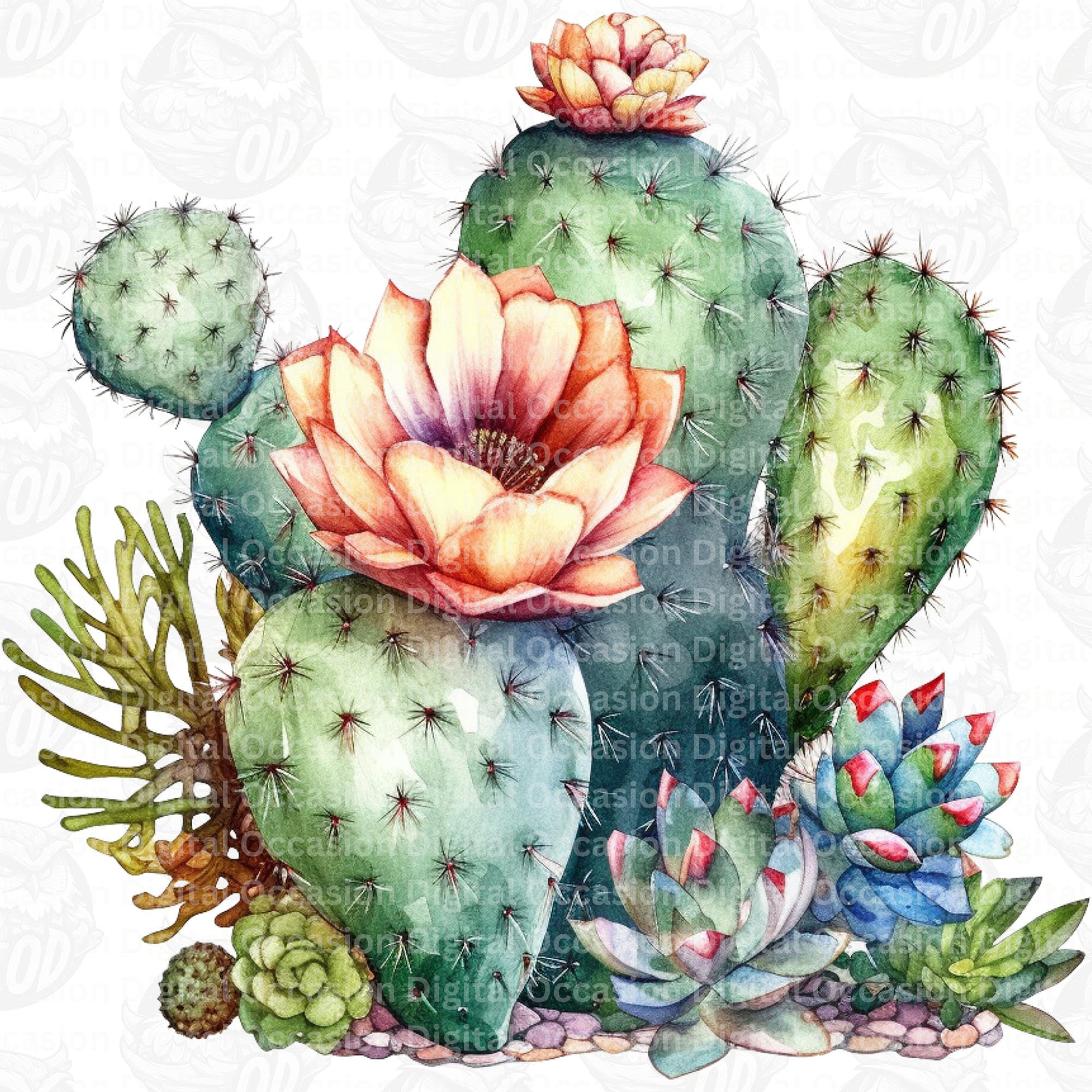 Cactus Bundle Western Cactus Bundle Png, Floral Cactus,flowers Png,sublimate Designs ...