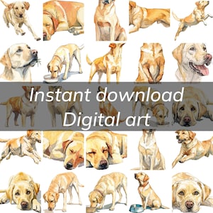 Golden Labrador Retriever watercolor dog illustration graphic, Commercial use transparent background png, Sitting, playing, and sleeping