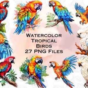 Pacchetto di uccelli tropicali dell'acquerello Png, Jungle Png,Scarica disegni sublimati,Download digitale,Pacchetto disegni sublimati, Colori vivaci