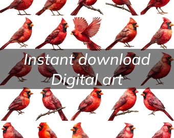 Watercolor red cardinal clipart 25 PNGs, clipart bundle, commercial use, instant download, digital download, Christian funeral memorial