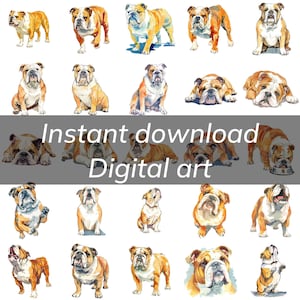 Bulldog watercolor Bull dog illustration graphic art, Commercial use transparent background png, Sitting, playing, begging, and sleeping