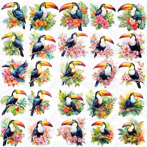 Watercolor Toucan Bird Clipart tropical birds on hibiscus and leaves Bundle Png, Jungle Png,Sublimate Designs,Digital Download,Bright Colors