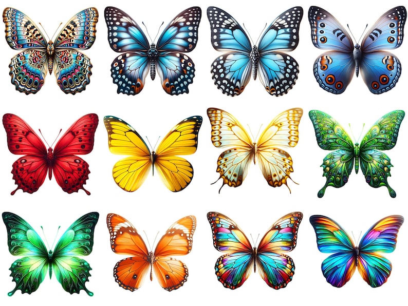 Butterflies Clipart Rainbow Color Butterflies Bundle Png Butterfly ...
