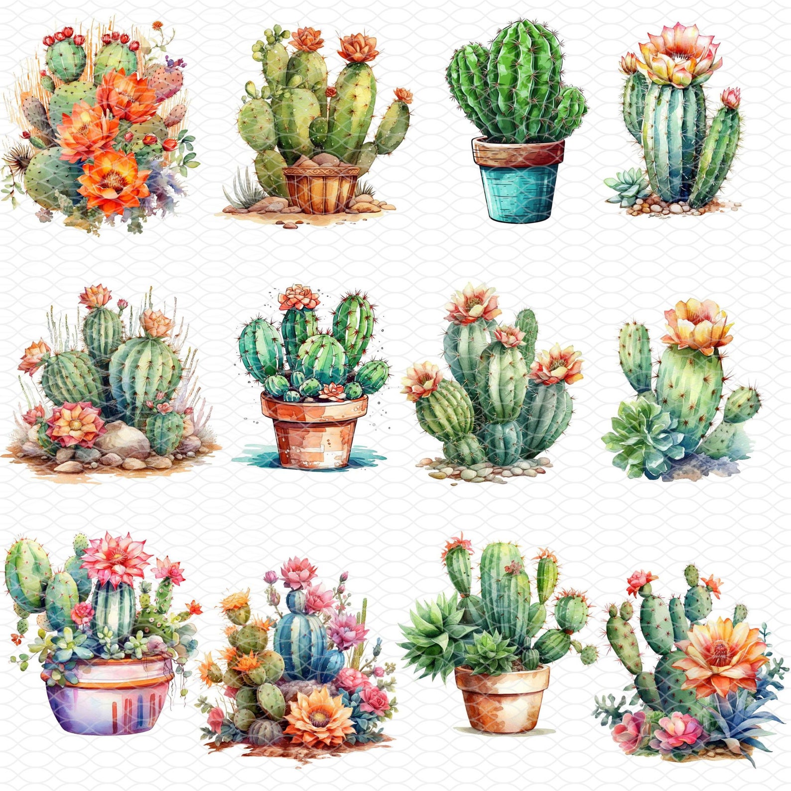 Cactus Bundle Western Cactus Bundle Png, Floral Cactus,flowers Png,sublimate Designs ...