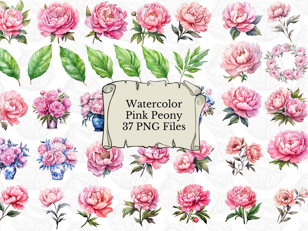 Watercolor Pink Peonies Clip Art, Peony Flower Embellishments, Pink ...