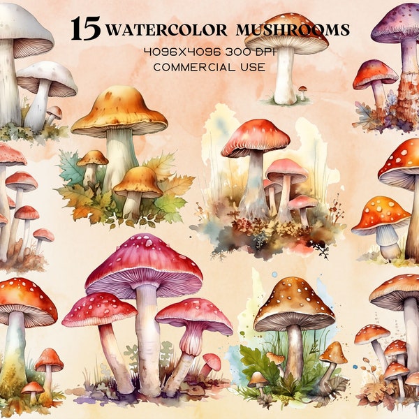 Watercolor Mushrooms Clipart - Cute Forest Nature toadstool clip art PNG format instant download for commercial use